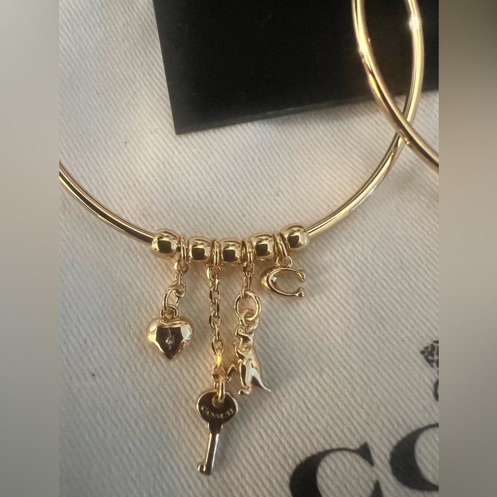 Coach Iconic Charm Hoop Earrings (NWT) - Picture 4 of 6